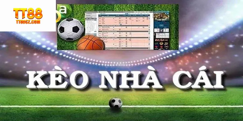 Top nhà cái uy tín với hệ thống minh bạch